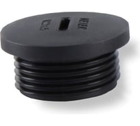 Заглушка под плоскую отвертку WEYER DPK-P42B-k10 - полиамид, цвет черный, нар. PG42 IP56, -40C-+100C, комплект-10 шт. WE6801700-10