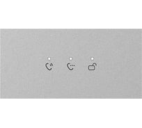 IP модуль TrueIp True TI-4308M/LED УТ-00028519