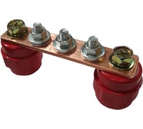 Шина ДМЗ ГЗШ100x30x3, 3хМ6, медная, с изоляторами ДМЗ.100.30.3.3-М6