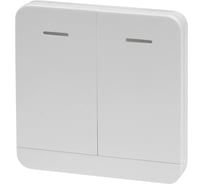 Дополнительный радиоканальный передатчик Smartec ST-RC123TL на 2 канала с фиксированным кодом smkd0813