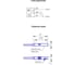 Магниточувствительный датчик ТЕКО MS FE8PM-41-L-5 Герконовый, Cухой контакт NO, Полиамид, 3 pin, 5...30 В, IP67, кабель 5м 08-00025674 3