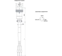 Соединитель кабельный ТЕКО CS S16C-1-E-10 Розетка, Прямой с кабелем,IP55,3-PIN,кабель 10м,125 AC/DC 08-00035667