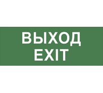 Самоклеящаяся этикетка ЭРА INFO-DBA-015 200х60мм Выход-EXIT DPA-DBA Б0048467