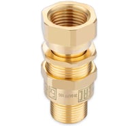 Кабельный ввод взрывозащищенный SURYAKOTI CAST 20 SA2FF1M 1/2G, для небронированного кабеля диаметром 6.5-14 мм, с одиночным уплотнением, для трубы с нар.резьбой 1/2G, ввод.резьба M20x SN0400300