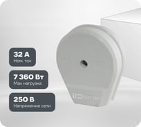 Вилка электрическая ВШ 32А 250В 2Р+РЕ белая TDM ELECTRIC SQ1812-0007