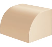 Заглушка кабельной трассы TDM ELECTRIC КМЗ 100x60 сосна (2 шт./комплект) SQ0411-0237