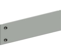 Дверь секционная внешняя IEK FORMAT 300х1000мм FO-00-ESD-030-100