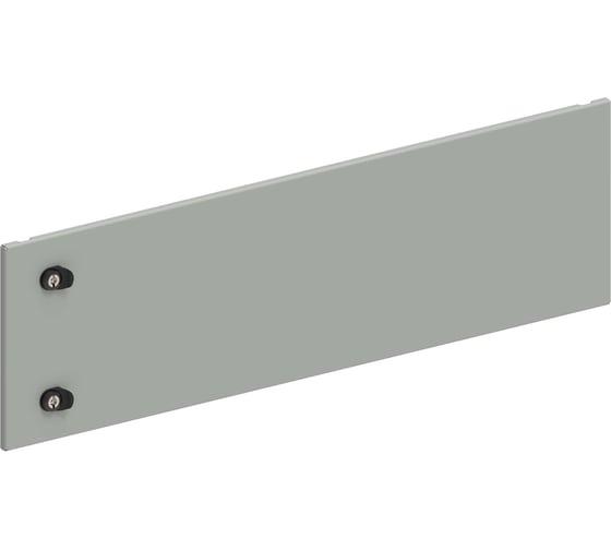 Дверь секционная внешняя IEK FORMAT 300х1000мм FO-00-ESD-030-100