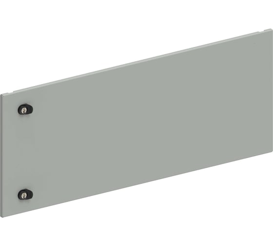 Дверь секционная внешняя IEK FORMAT 400х1000мм FO-00-ESD-040-100