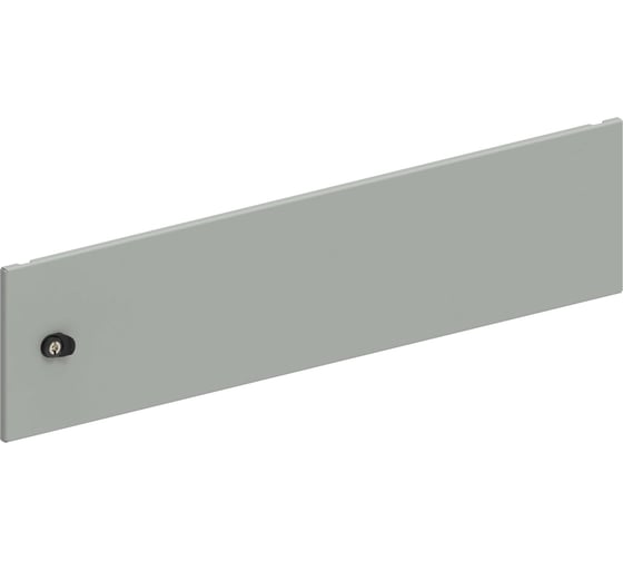 Дверь секционная внешняя IEK FORMAT 250х1000мм FO-00-ESD-025-100