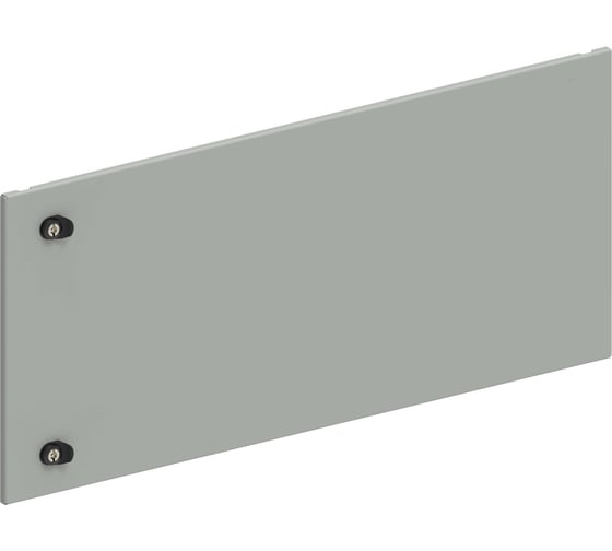Дверь секционная внешняя IEK FORMAT 450х1000мм FO-00-ESD-045-100