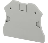 Разделитель для винтовых клемм Systeme Electric HT TRV22,TRV42,TRV62,TRV102 SE NSYTRAC22