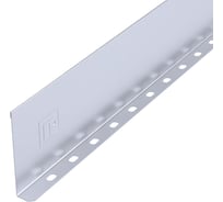 Разделитель лотка Промрукав Стандарт INOX (AISI 316) 100х3000 (0,7 мм) PR16.3769
