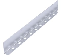 Разделитель лотка Промрукав Стандарт INOX (AISI 316) 50х3000 (0,55 мм) PR16.3766