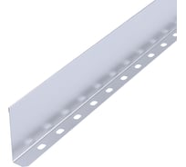 Разделитель лотка Промрукав Стандарт INOX (AISI 316) 80х3000 (0,55 мм) PR16.3768