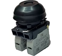 Выключатель Briswik КЕ 081/2 черный IP65Н УХЛ2 10А 1но 1нз aS-DB-3Ai-0121