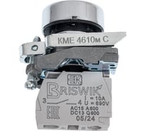Выключатель Briswik КМЕ 4610м-С черный IP65 УХЛ2 10А 1но 0нз aD-DB-5Ai-0111