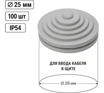Сальник TDM ELECTRIC d=25мм (Dотв.бокса 28мм) SQ0814-0002