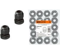 Сальник TDM ELECTRIC MG 25 диаметр проводника 13-18мм IP68 SQ0806-0003