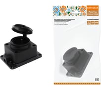 Розетка TDM настенная с заглушкой каучук 2Р+РЕ 16А 250В IP44 серии Народная SQ0612-0033