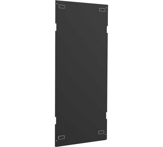 Разделительная боковая панель ITK by ZPAS 42U тип C 1200 черная ZP-SP05-42U-C-1200 1