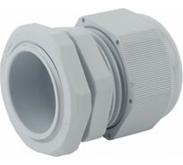 Сальник ЭРА PG36 NO-223-21 IP54 d отверстия 46мм, d проводника 22-32мм, Б0033499