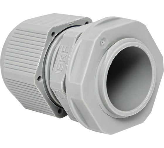 Сальник EKF PG13,5 IP54 (2 шт) d отверстия 21 мм / d проводника 6-12 мм PROxima plc-pg-13.5-2-r