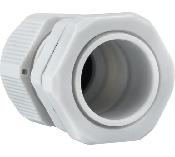 Сальник EKF PG13,5 IP54 (2 шт) d отверстия 21 мм / d проводника 6-12 мм PROxima plc-pg-13.5-2-r