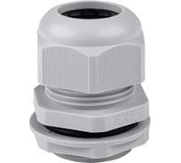 Сальник EKF PROxima PG25, IP54, d отверстия 31 мм, d провода 16-21 мм, 20 штук plc-pg-25-r