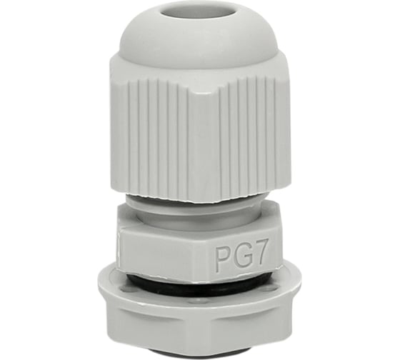 Pg plc Pg plc
