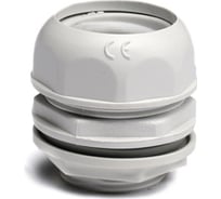 Переходник DKC армированная труба-коробка 50шт (1/2 дюйма; 16 мм; IP65) 55116