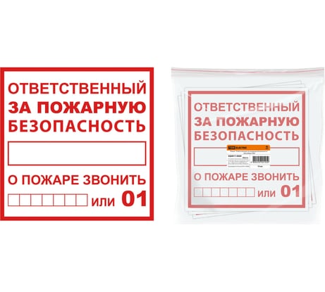 Плакат "Ответственный за пожарную безопасность" TDM ELECTRIC 200x200мм AQ0817-0069