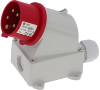 Настенная вилка INPIN 16A/400V/3P+N+E/IP44 CA342