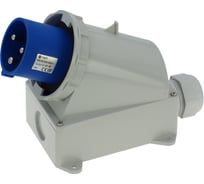 Настенная вилка INPIN 63A/230V/1P+N+E/IP67 CA1107