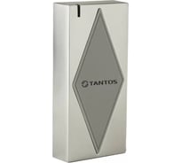 Считыватель карт формата Tantos Em-marin TS-RDR-E Metal W-34