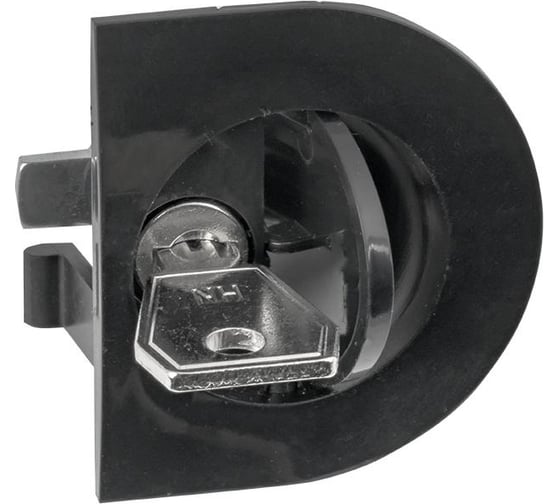 Пластиковый замок EKF черный 30/32-16/13 IP31 PROxima 100 шт lock-shrn-ip31