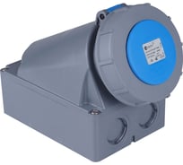 Розетка кабельная настенная угловая TP Electric 63А/240В/2P+E+P/IP67 (синий) 3129-307-0900