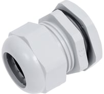 Кабельный ввод сальник FORTISFLEX PG 29 18-25 мм 51299