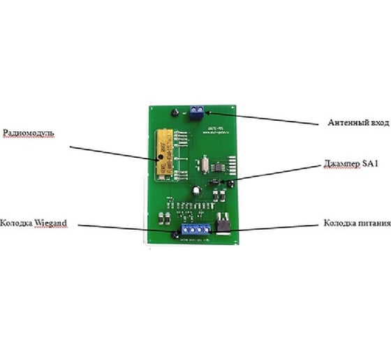 Радиоканальный cчитыватель Gate rx 4007975
