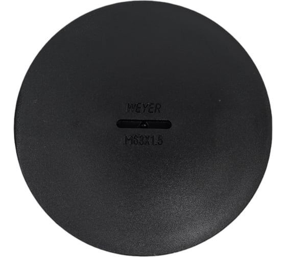 Заглушка отверстия DPK-M63B Weyer заглушка под плоскую отвертку, нар. M63x1.5 WE6800800
