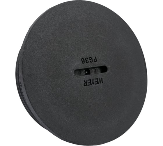 Заглушка отверстия DPK-P36B Weyer заглушка под плоскую отвертку, нар. PG36 WE6801600