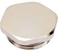 Заглушка отверстия DPM-M25 Weyer заглушка под гаечный ключ, нар. M25x1.5 WE6900400