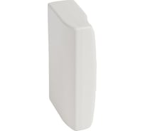 Заглушка Legrand торцевая для односекционных кабель-каналов DLP 65х150 белый 010706