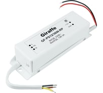 Уличный блок питания Giraffe GF-PS12/36W-RP gf0402
