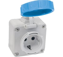 Кабельная настенная розетка TP Electric синий 16a/240в/2p+e/ip68 3101-380-0900