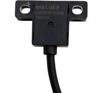 Оптический вилочный датчик Autonics BS5-L1M-P A1650002006R