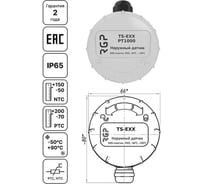 Датчик температуры наружного воздуха Завод RGP TS-E00 NTC10k (3950)