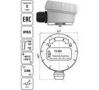 Датчик температуры наружного воздуха Завод RGP (ModBus) TS-E02-ModBus