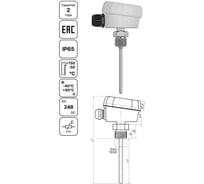 Погружной ввинчиваемый датчик температуры Завод RGP 80 мм (ModBus) TS-D12-ModBus