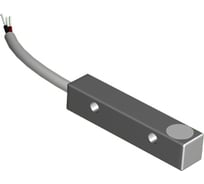 Индуктивный датчик ТЕКО ISB I01B-31P-2-L Sn=2 мм, корпус латунь заподлицо, 10 ... 30 DC NO PNP, IP67, подключение кабель 00-00024986